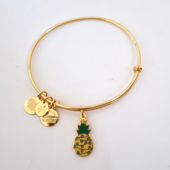 ALEX AND ANI Christmas Pineapple bangle bracelet - Picture 2 of 4
